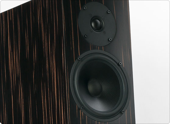 Pylon Audio Emerald 25 - cecha 1